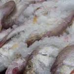 kako-brzo-odmrznuti-ribu-a-da-je-ne-pretvorite-u.webp.webp