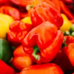 zuta-crvena-ili-zelena-ovo-je-najzdravija-boja-papra.webp.webp