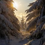 5 neočitih načina da se razveselite u dosadnoj zimi 5-neocitih-nacina-da-se-razveselite-u-dosadnoj-zimi.jpg