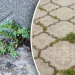 Bez kemikalija i dodatnog napora: kako se u nekoliko minuta