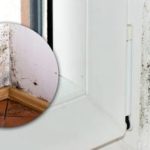 Crna plijesan nestat će za nekoliko minuta: u hladnjaku se krije tajno "oružje". Crna plijesan nestat će za nekoliko minuta: u hladnjaku se