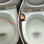 Jedan će proizvod izbijeliti WC školjku do sjaja: kako se riješiti naslaga i prljavštine u 15 minuta Jedan će proizvod izbijeliti WC školjku do sjaja: kako se