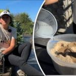 Jednostavna staromodna metoda: vrtlar je rekao kako zadržati svježinu mrkve do proljeća Jednostavna staromodna metoda: vrtlar je rekao kako zadržati svježinu mrkve