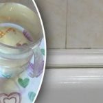 Kada će biti kao nova: kako se riješiti plijesni u