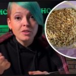 Kako odabrati zelenu gnojidbu i iznenaditi svoje susjede žetvom: vrtlar je dao učinkovit savjet Kako odabrati zelenu gnojidbu i iznenaditi svoje susjede žetvom: vrtlar