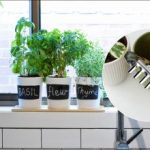 Kako shvatiti da ste previše zalili cvijet: glavni znakovi i