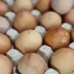 koliko-zapravo-treba-kuhati-jaja-da-zumanjak-ne-posivi-a.jpg
