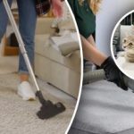 Neće ostati nikakav trag: 7 koraka za uklanjanje mirisa urina