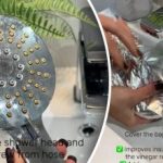 Plak se nakupljao tijekom godina: kako očistiti unutrašnjost glave tuša Plak se nakupljao tijekom godina: kako očistiti unutrašnjost glave tuša