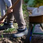 Sjetveni kalendar za rujan 2025.: što treba učiniti u vrtu Sjetveni kalendar za rujan 2025.: što treba učiniti u vrtu