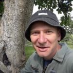 Šupljina nije smrtna presuda: dokazani način da produžite život stablu