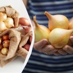 8 varijanti luka koji se nikada ne isključuje: na što