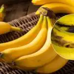 Banane tjednima neće pocrnjeti: jednostavan trik za koji malo tko
