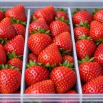 Jagode više neće imati okus kiselog graška. jagode-vise-nece-imati-okus-kiselog-graska.png