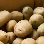 Kada izvaditi krumpir iz podruma za sadnju: narodni kalendar i