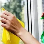 kako-oprati-prozore-bez-kemikalija-kako-biste-izbjegli-tragove-i.webp.webp