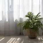 Kako oprati til tako da ne postane žut ili rastegnut: značajke brige o ukrasnim zavjesama kako-oprati-til-tako-da-ne-postane-zut-ili-rastegnut.jpg