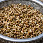 Kako postići da peršin nikne za tri dana i daje urod u kantama kako-postici-da-persin-nikne-za-tri-dana-i-daje.png