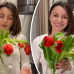 Kako spasiti uvenule tulipane u 5 minuta - provjereni life