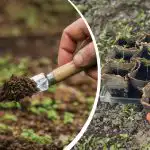 Kalendar sjetve za travanj 2026.: koji će dani pomoći u uzgoju rekordne žetve Kalendar sjetve za travanj 2026.: koji će dani pomoći u