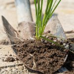 Korov na stazama nestat će za jedan dan: evo čime