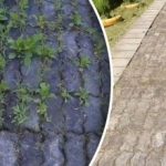 Korov sa staza nestat će za 3 dana - sve