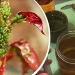 Lisne uši se boje poput vatre: samo tri sastojka - i insekti će nestati Lisne uši se boje poput vatre: samo tri sastojka -