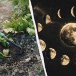 Ovih dana u travnju trebali biste zaboraviti na vrt: točan