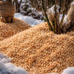 Piljevina će spasiti vaše ruže od smrzavanja čak iu najjačoj zimi piljevina-ce-spasiti-vase-ruze-od-smrzavanja-cak-iu-najjacoj.png