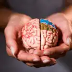 Što jesti za mentalnu jasnoću: nutricionisti su naveli 7 namirnica