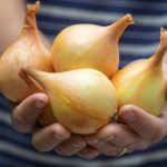 Sve o uzgoju luka u vašem vrtu: stručnjaci su prikupili