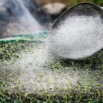 Tajna jakih sadnica krije se u običnoj vatri u peći tajna-jakih-sadnica-krije-se-u-obicnoj-vatri-u-peci.png