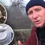 Većina ljudi to radi "na oko": bez toga hranjenje češnjakom neće dati rezultate. Većina ljudi to radi "na oko": bez toga hranjenje češnjakom