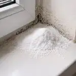 Zašto iskusne domaćice u ožujku sipaju sodu bikarbonu u kutove? zasto-iskusne-domacice-u-ozujku-sipaju-sodu-bikarbonu-u-kutove.png