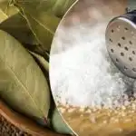 Zašto ubaciti lovorov list u limun: neočekivan, ali učinkovit life