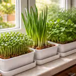 Zelena traka na prozoru za sedam dana bez ikakvih muka zelena-traka-na-prozoru-za-sedam-dana-bez-ikakvih-muka.png