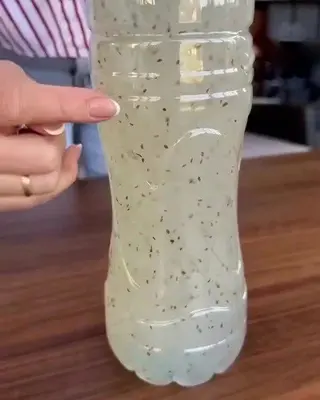 Kako posijati mrkvu da je kasnije ne potrgate: pametan životni hack