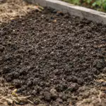 cuvar-zelene-gredice-kako-pripremiti-idealno-tlo-prije-sadnje-sadnica.png