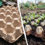 Iskusne domaćice već dugo koriste ove savjete: kako je posuda