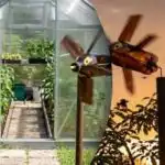 Jedan uređaj protiv čvoraka i krtica: jednostavno rješenje za vaše