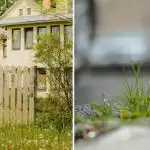 Kako zalijevati korov uz ogradu: sutradan nestaje