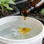 Mala farmaceutska bočica spasit će slabe sadnice i udvostručiti buduću žetvu mala-farmaceutska-bocica-spasit-ce-slabe-sadnice-i-udvostruciti-buducu.png