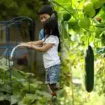 Mali kreveti - velika žetva: kako učinkovito iskoristiti svaki centimetar