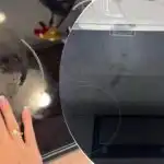 Možete zaboraviti na naslage ugljika: kako očistiti indukcijsku ploču do