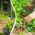 Na ovaj način, plijevljenje gredica je 2 puta lakše i