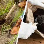 Niti jedna muha neće sletjeti na vaš luk: kako ga