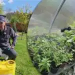 Noćni "kontrasi" nisu strašni - kako zaštititi biljke od mraza Noćni "kontrasi" nisu strašni - kako zaštititi biljke od mraza