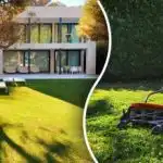 Običan kuhinjski proizvod učinit će vaš travnjak savršenim: otkriven jednostavan