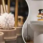 Očistite četku za nekoliko minuta: jednostavan način pranja i dezinfekcije