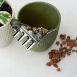 Stručnjaci su razotkrili popularni mit: kamenje na dnu posude može